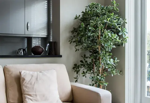 Castellain Road, holiday home in St Johns Wood, London