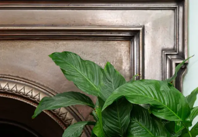 Fitzjames Avenue, holiday home in Kensington, London