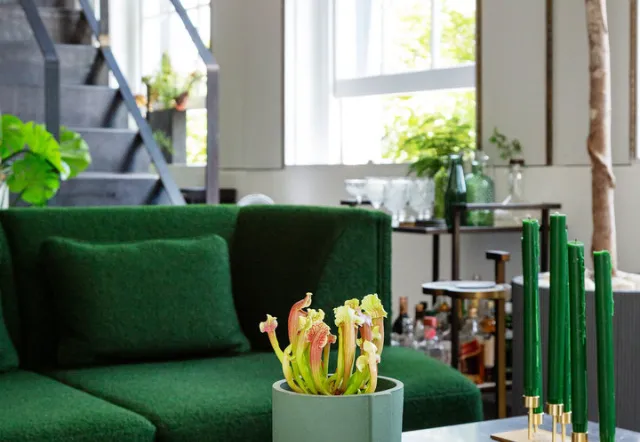 Bavaria Road, holiday home in Archway, London