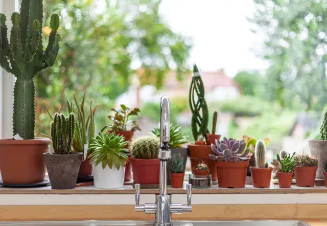 Boundary Road, holiday home in London