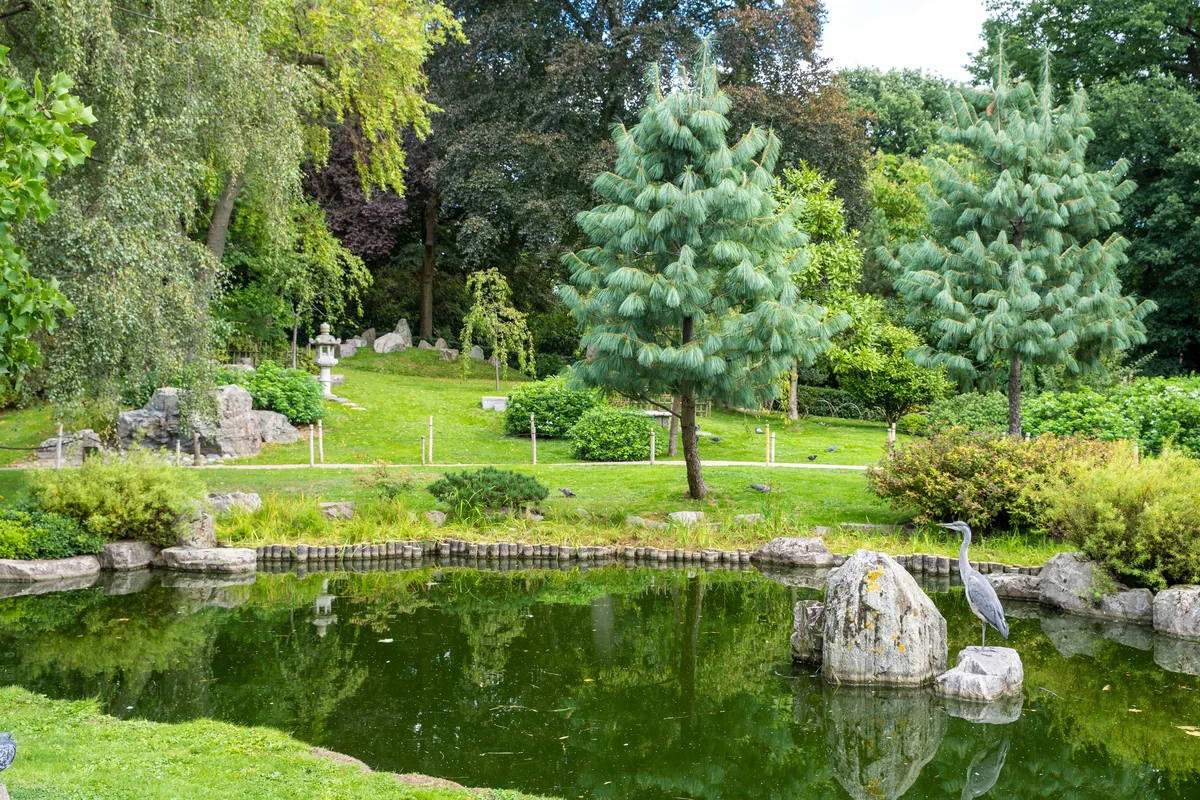 Holland Park guide image