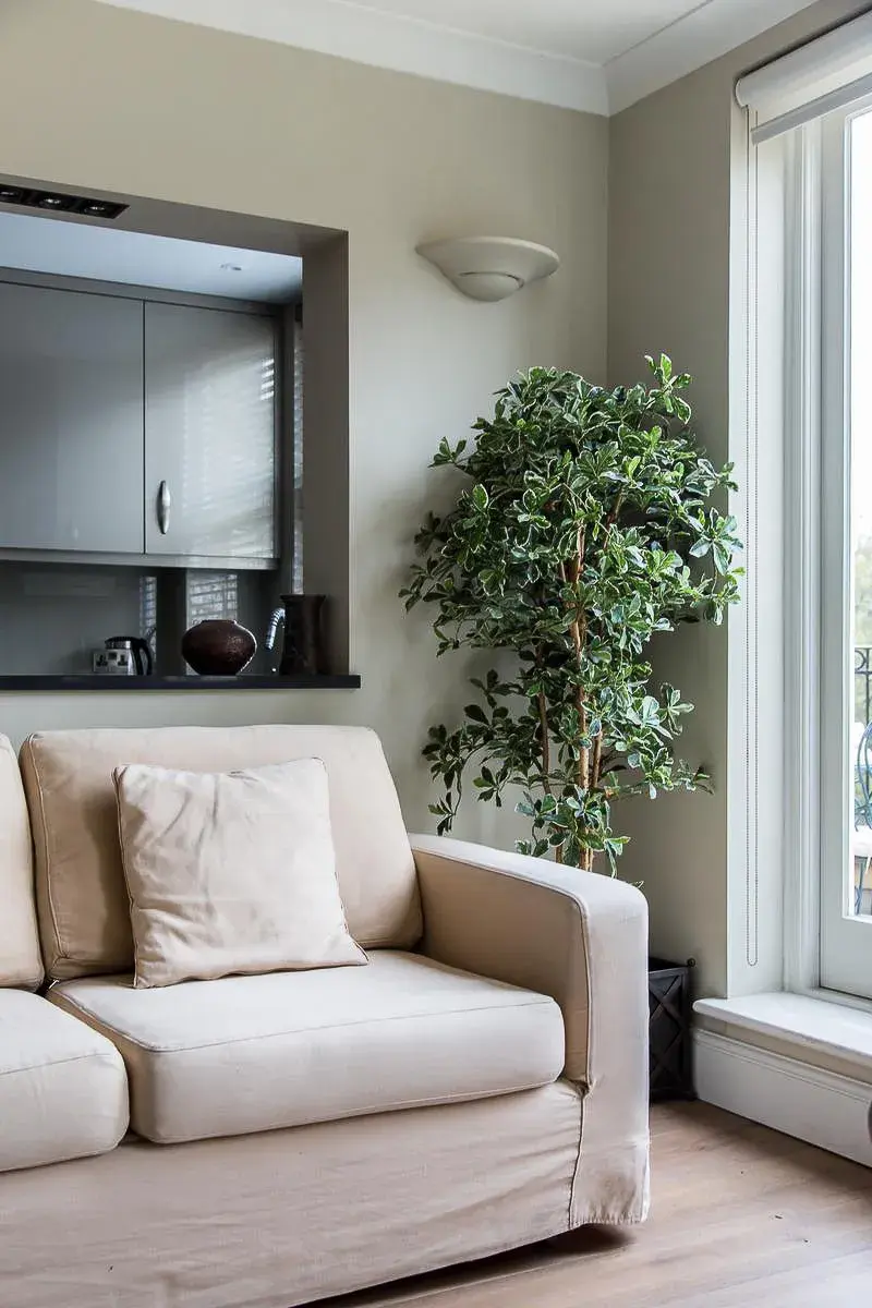 Castellain Road, holiday home in St Johns Wood, London