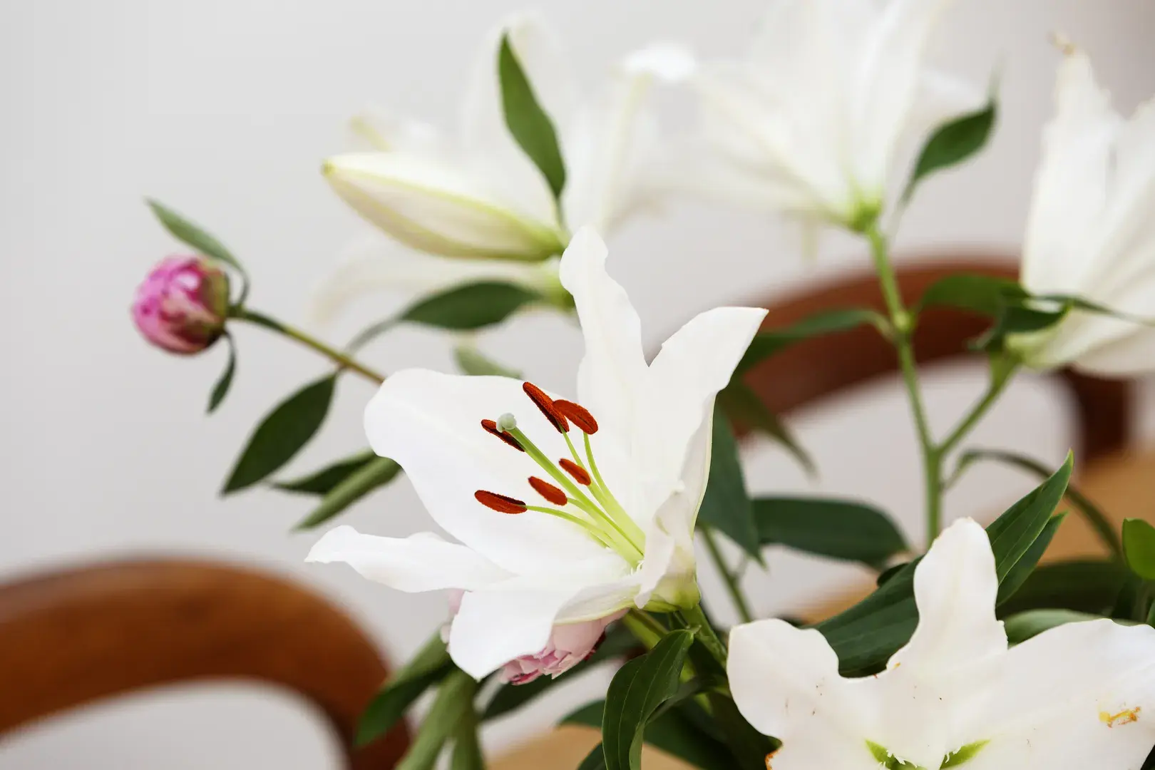 Aden Grove, holiday home in London