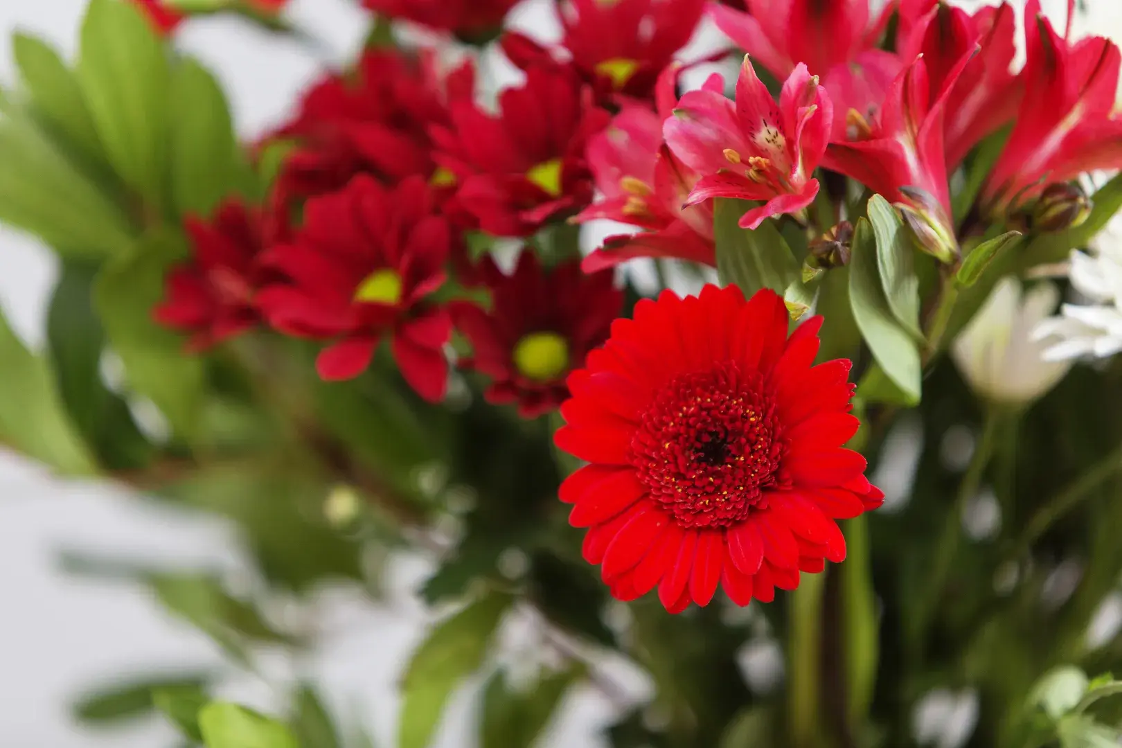 Aden Grove, holiday home in London