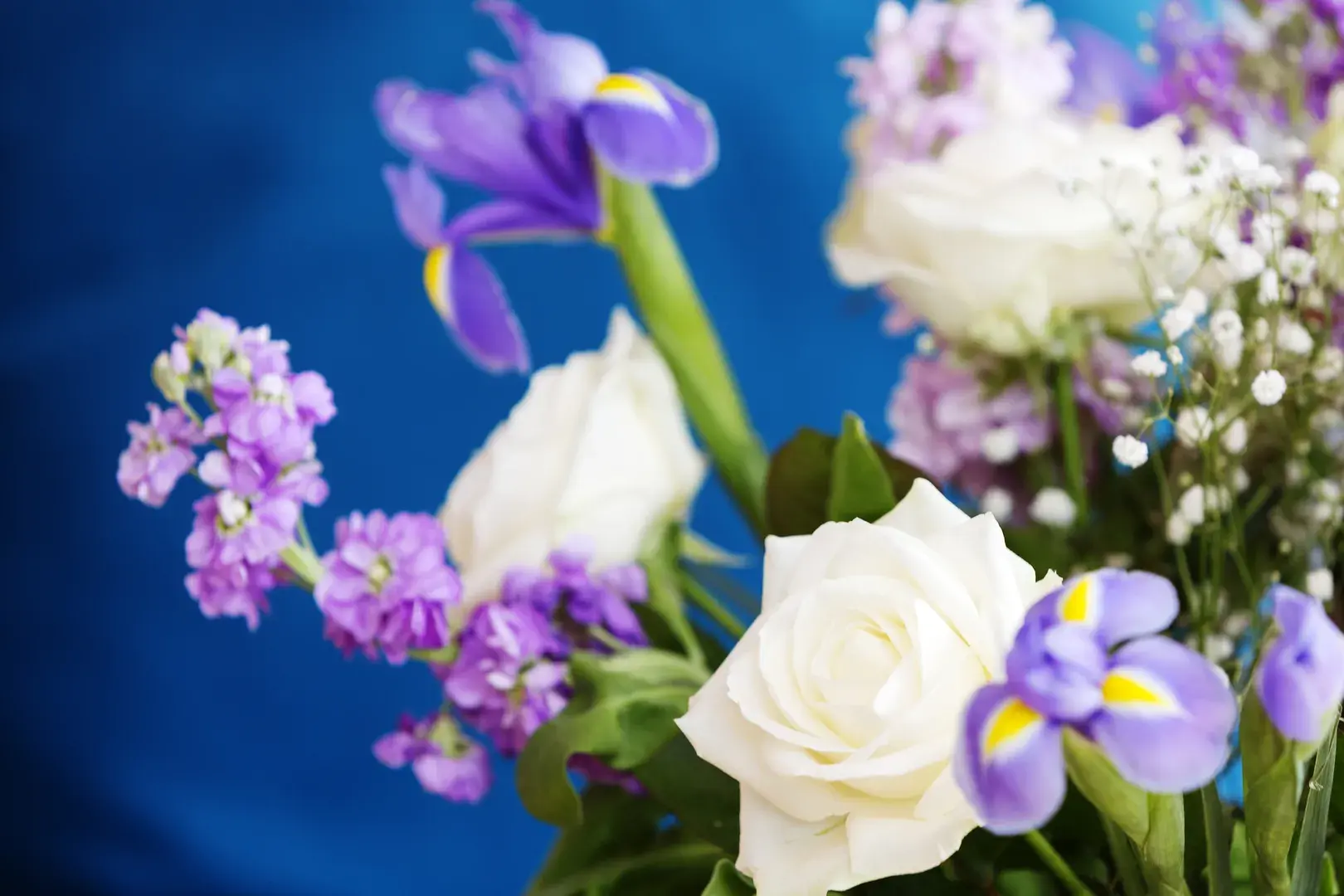 Aden Grove, holiday home in London