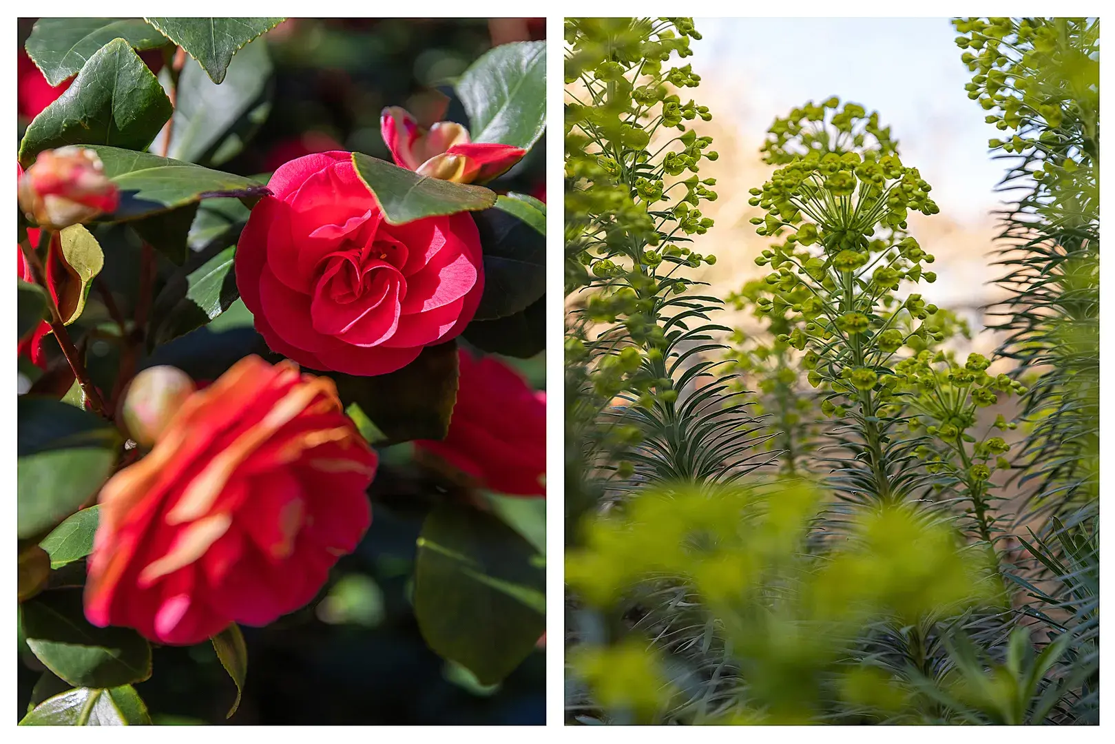 Devonia Road, holiday home in Islington, London