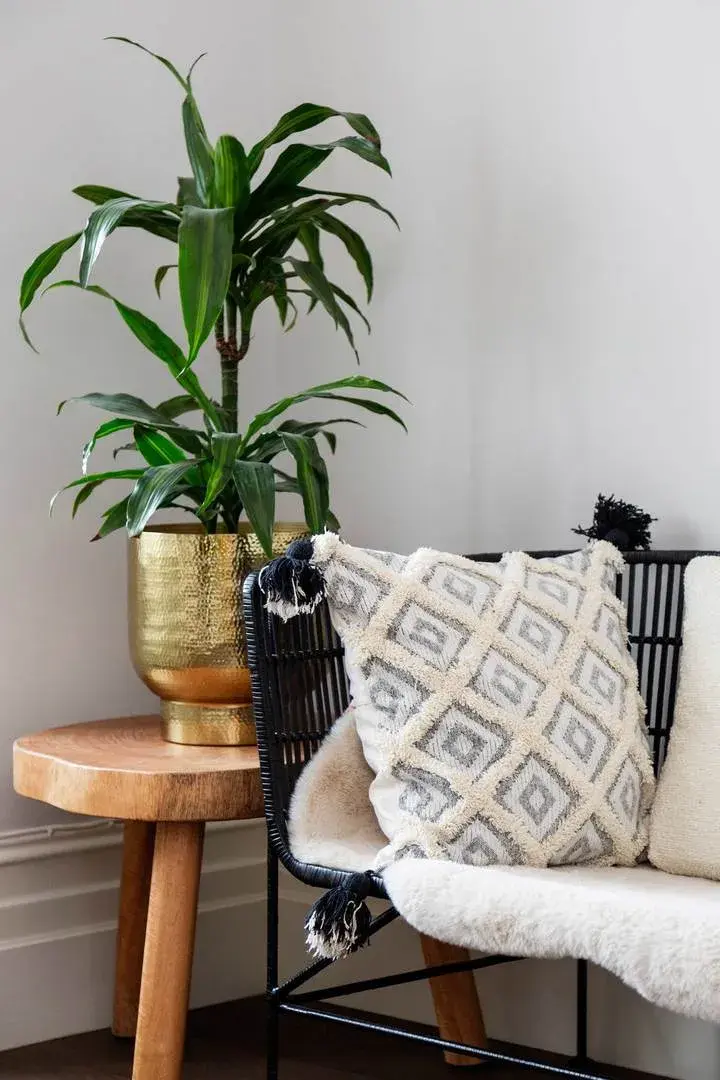 Dorlcote Road, holiday home in Wandsworth, London