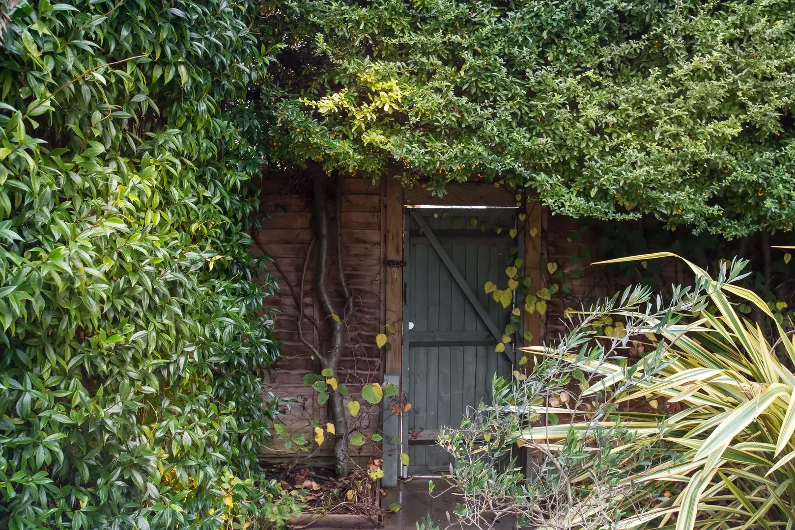 Lots Road II, holiday home in Chelsea, London