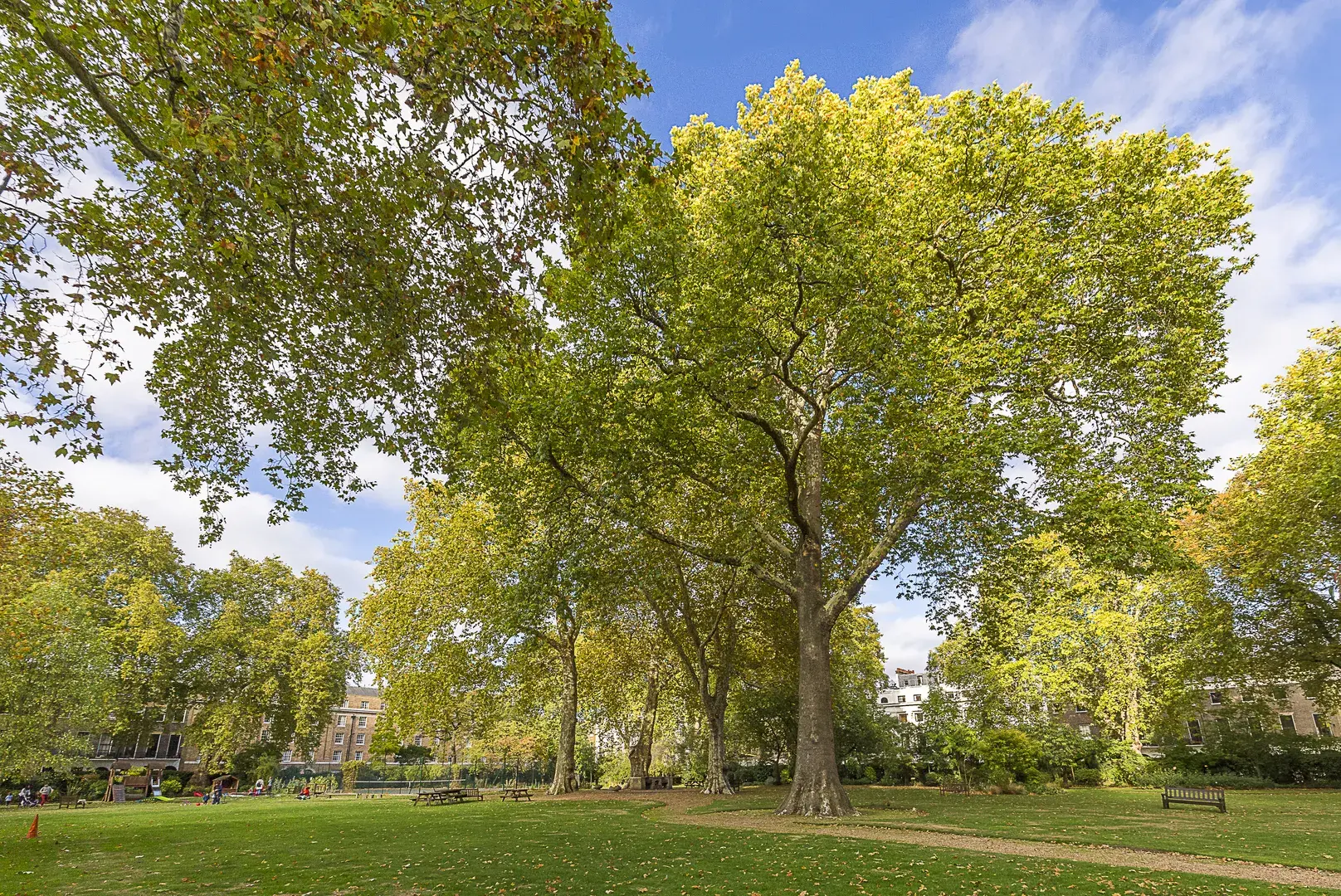 Mecklenburgh Square, holiday home in London