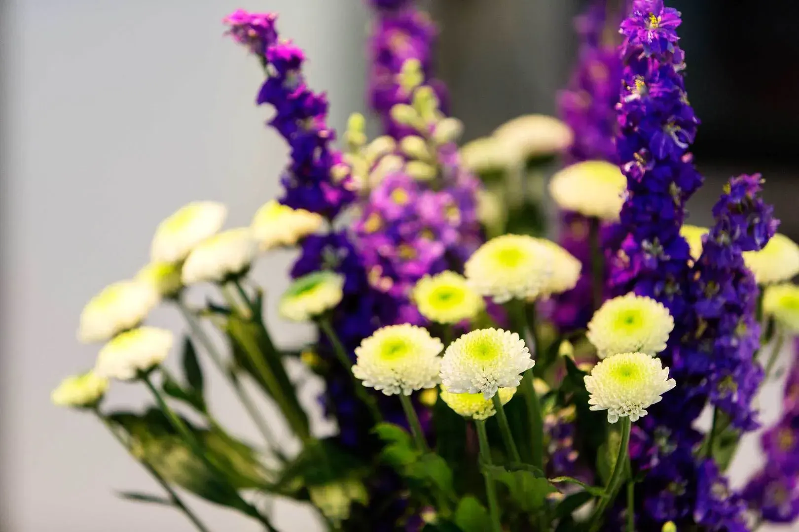 Camden Mews, holiday home in Camden, London