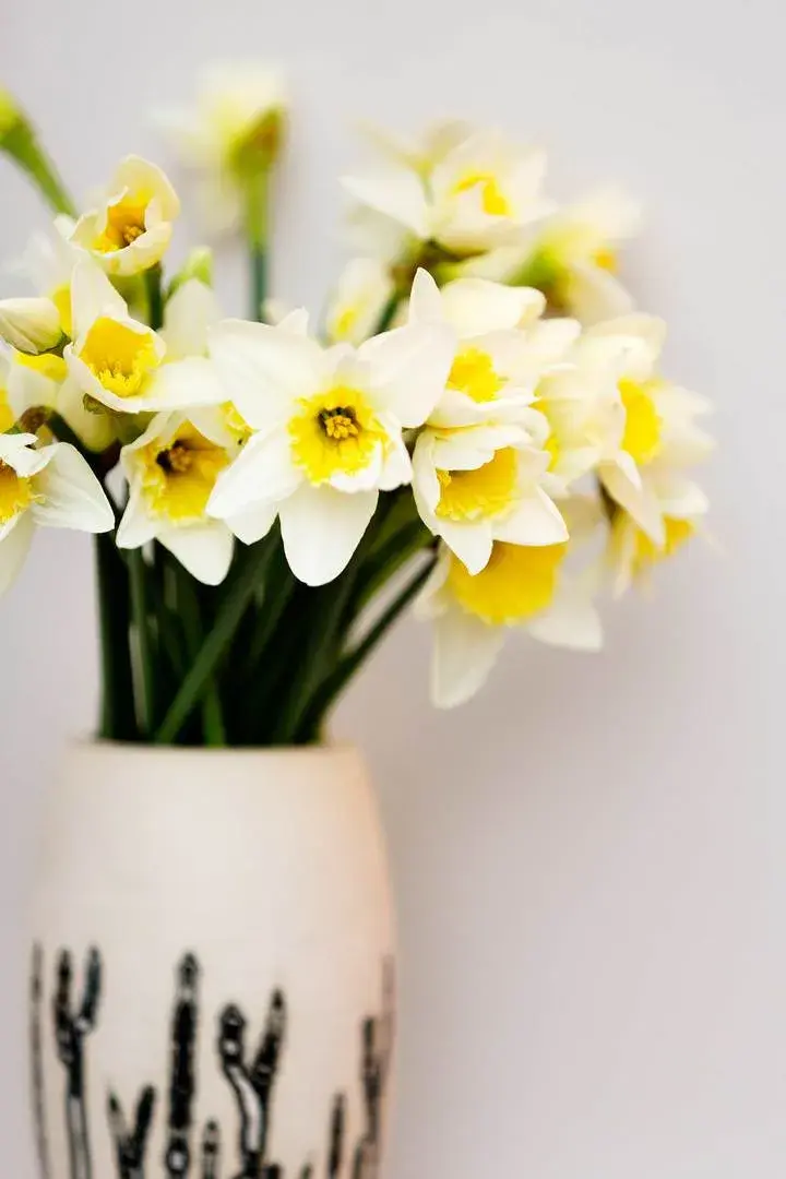 Gladsmuir Road, holiday home in Highgate, London