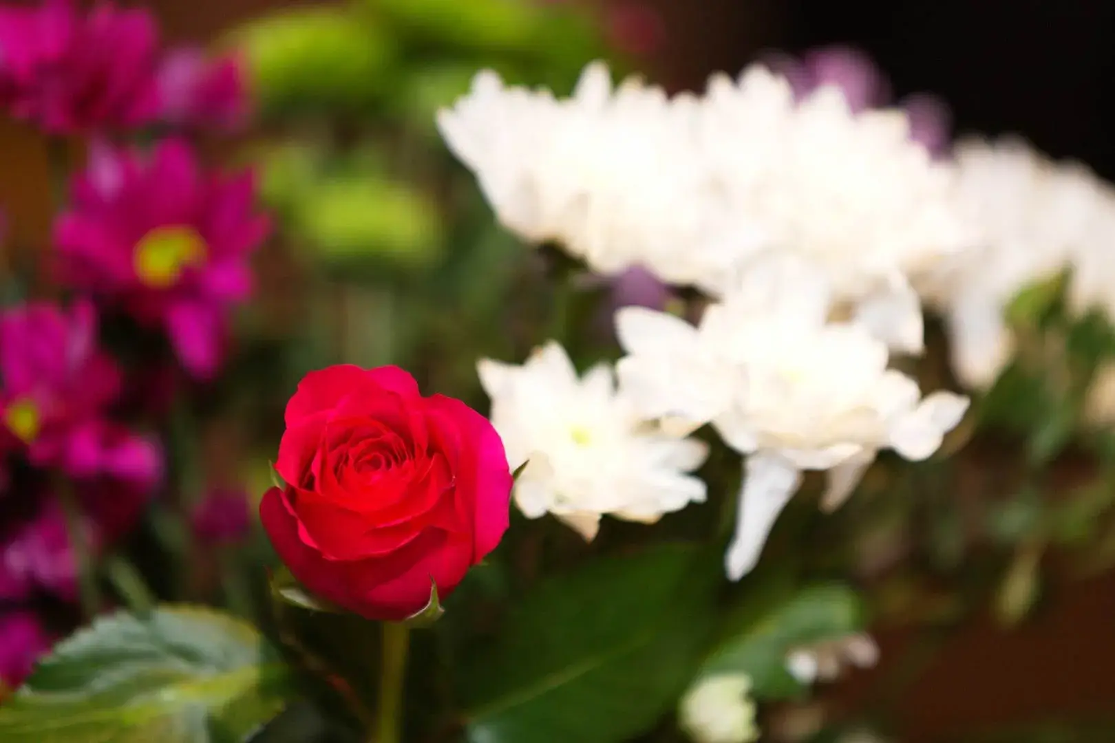 Lensbury Avenue, holiday home in Fulham, London