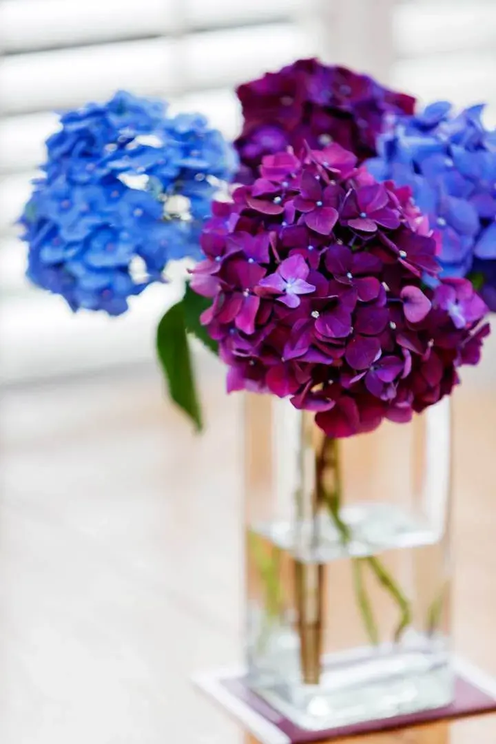 First Avenue II, holiday home in London