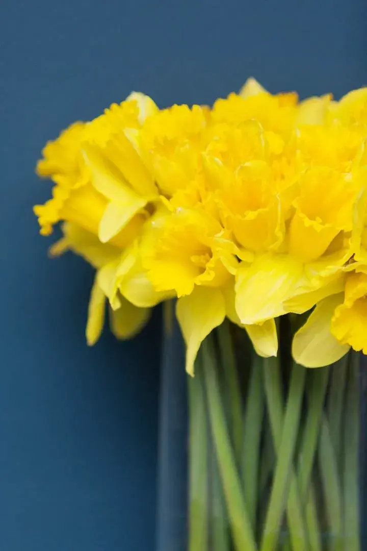 First Avenue II, holiday home in London