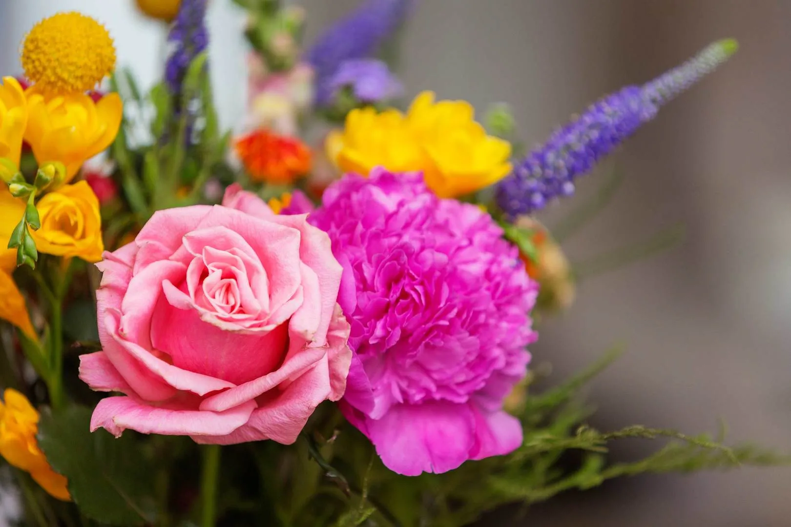 Piano Lane, holiday home in London