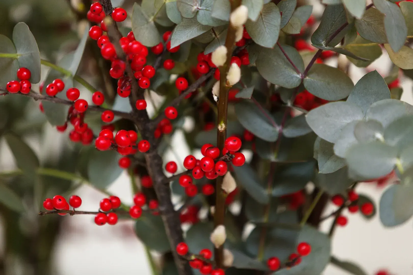 Castellain Road II, holiday home in London