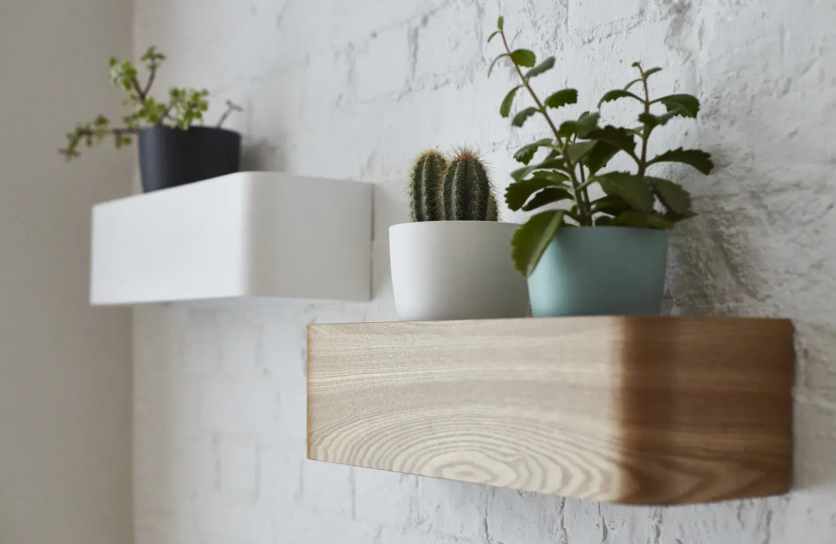 Constantine Road, holiday home in Hampstead, London