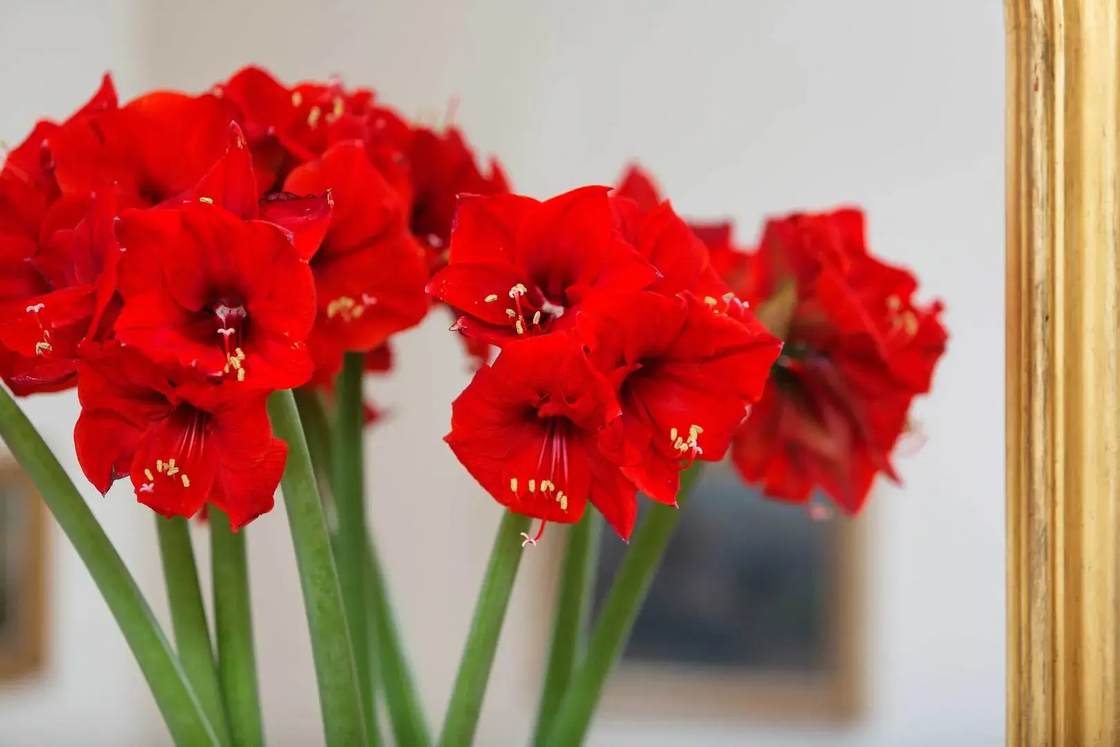 Queensdale Place II, holiday home in Notting Hill, London
