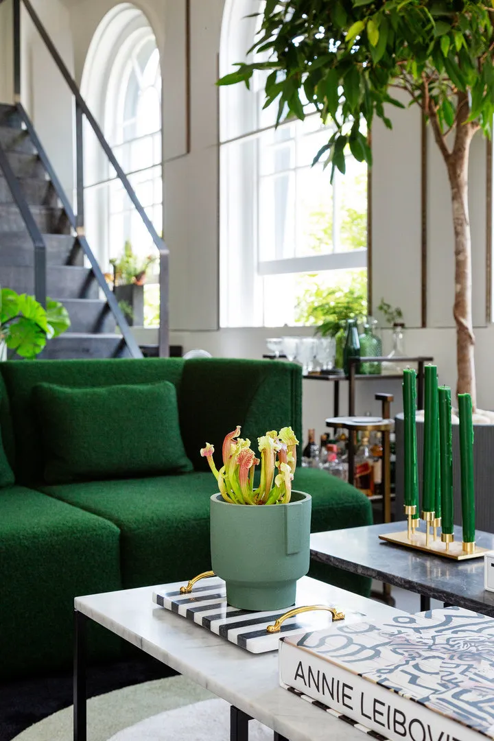 Bavaria Road, holiday home in Archway, London