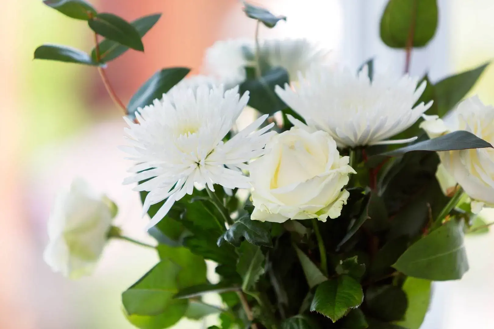 Vineyard Hill Road, holiday home in Wimbledon – South London, London