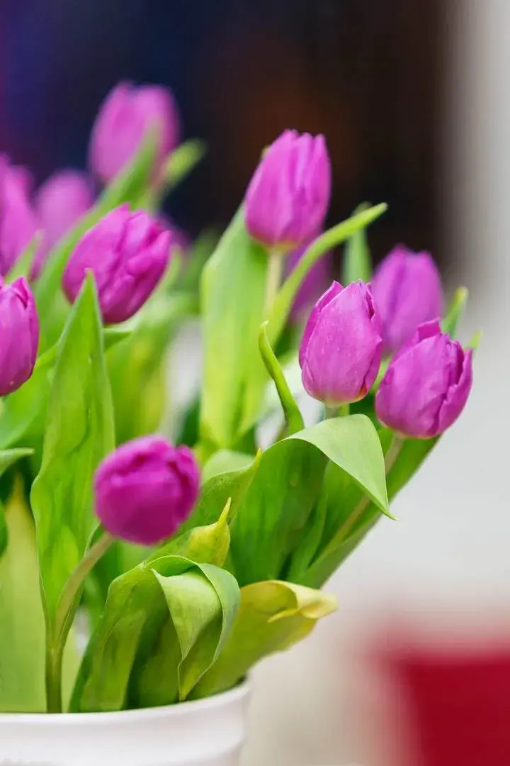 Thornton Avenue, holiday home in Chiswick, London