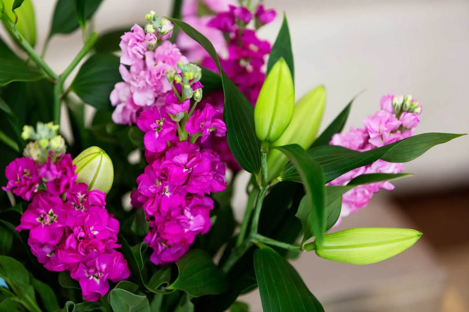 Bramerton Street, holiday home in Chelsea, London