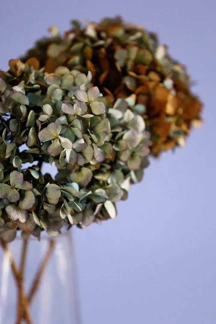 Cleaver Street, holiday home in London