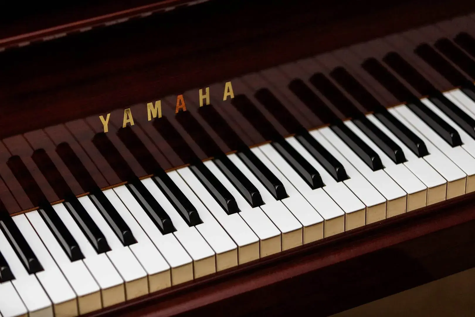 Warwick Road II, holiday home in Kensington, London