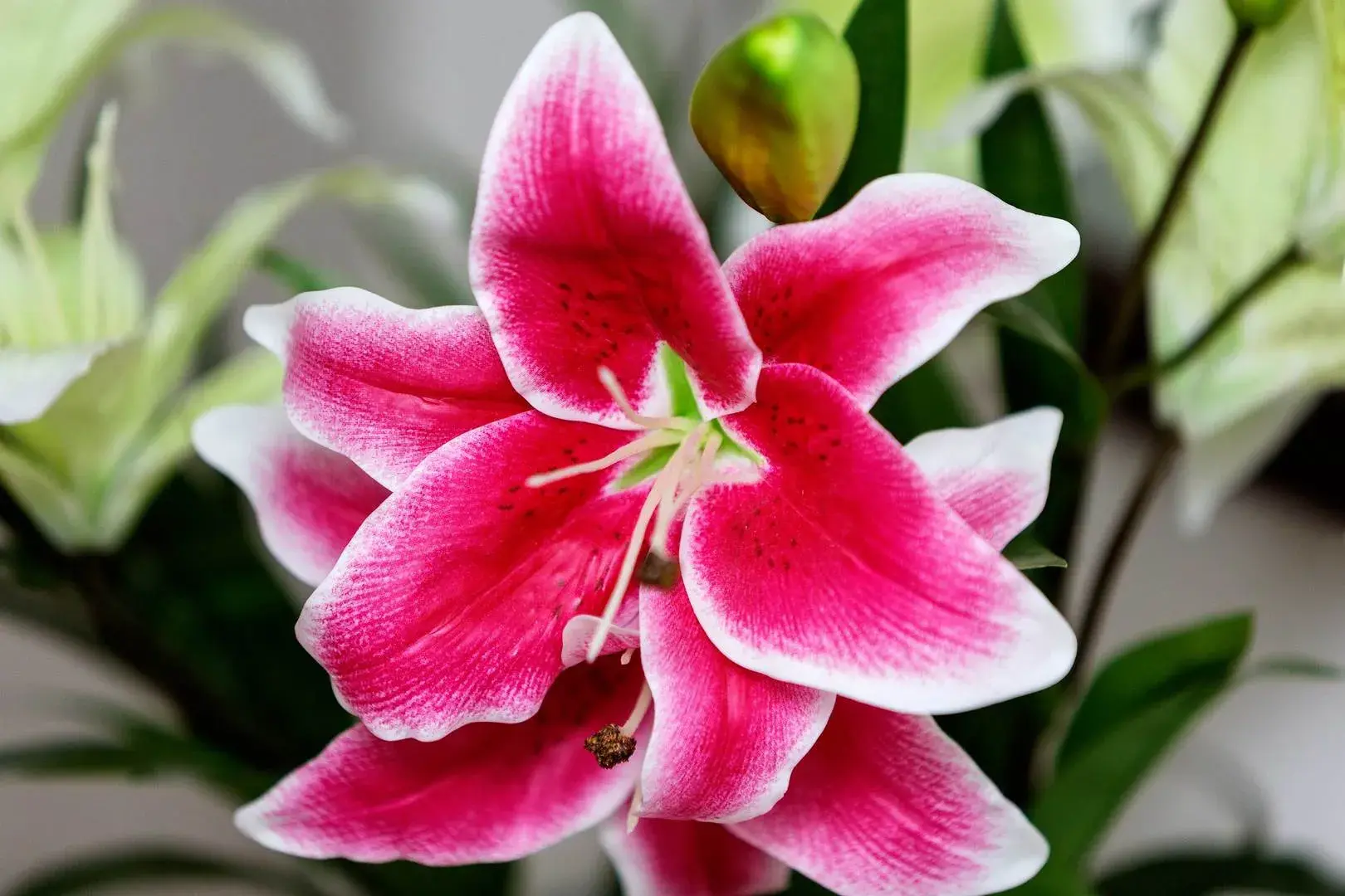 Warwick Road II, holiday home in Kensington, London