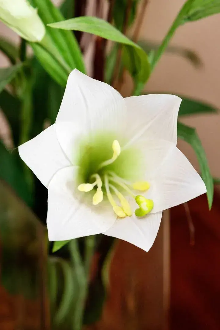 Lavender House, holiday home in Kew, London