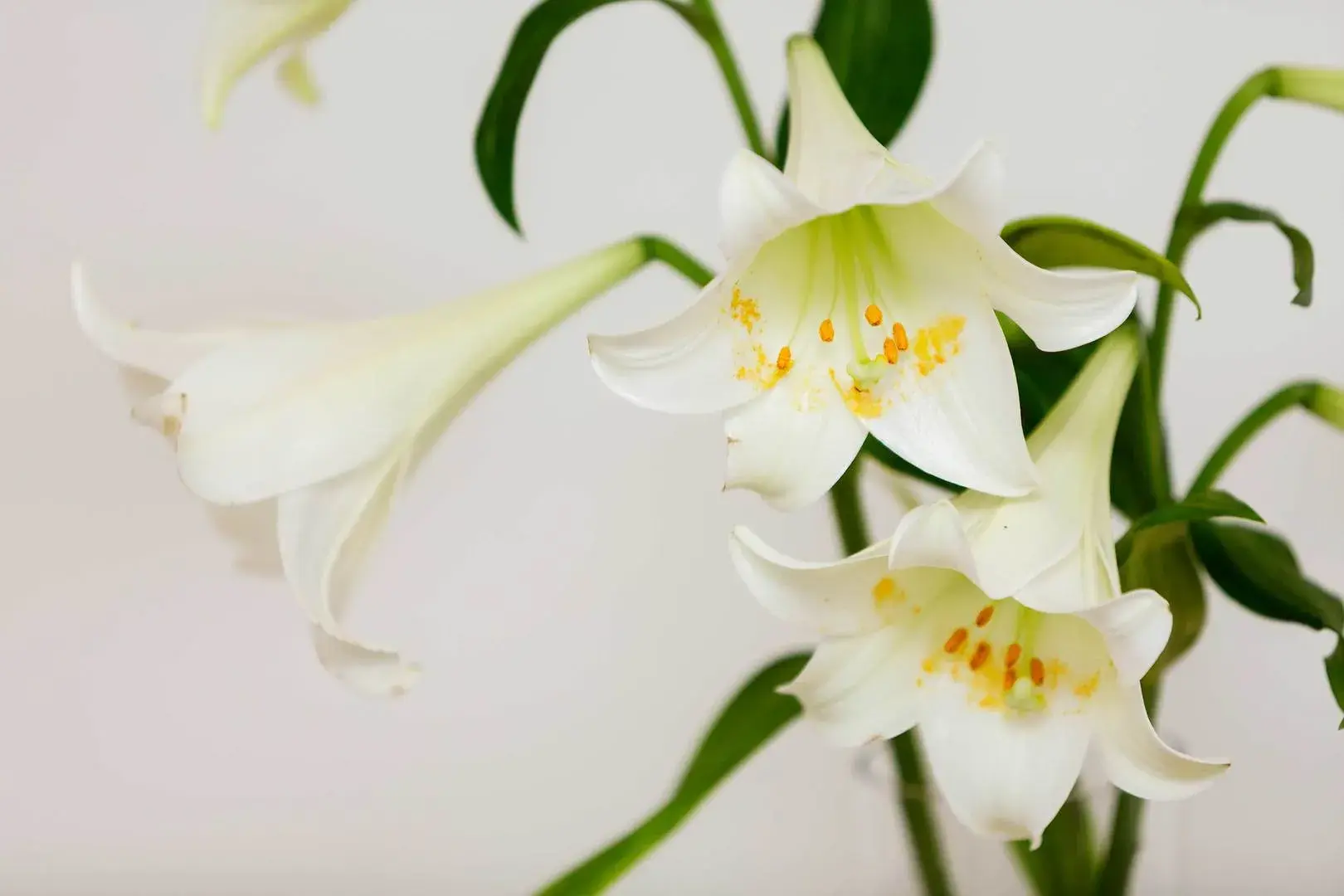 Hermitage Street, holiday home in Westminster, London