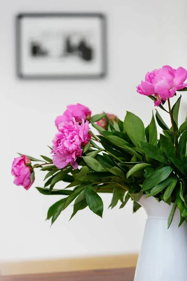 Friern Road, holiday home in London