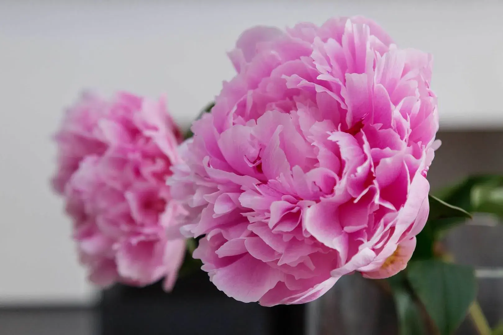 St Phillip Street, holiday home in Battersea, London