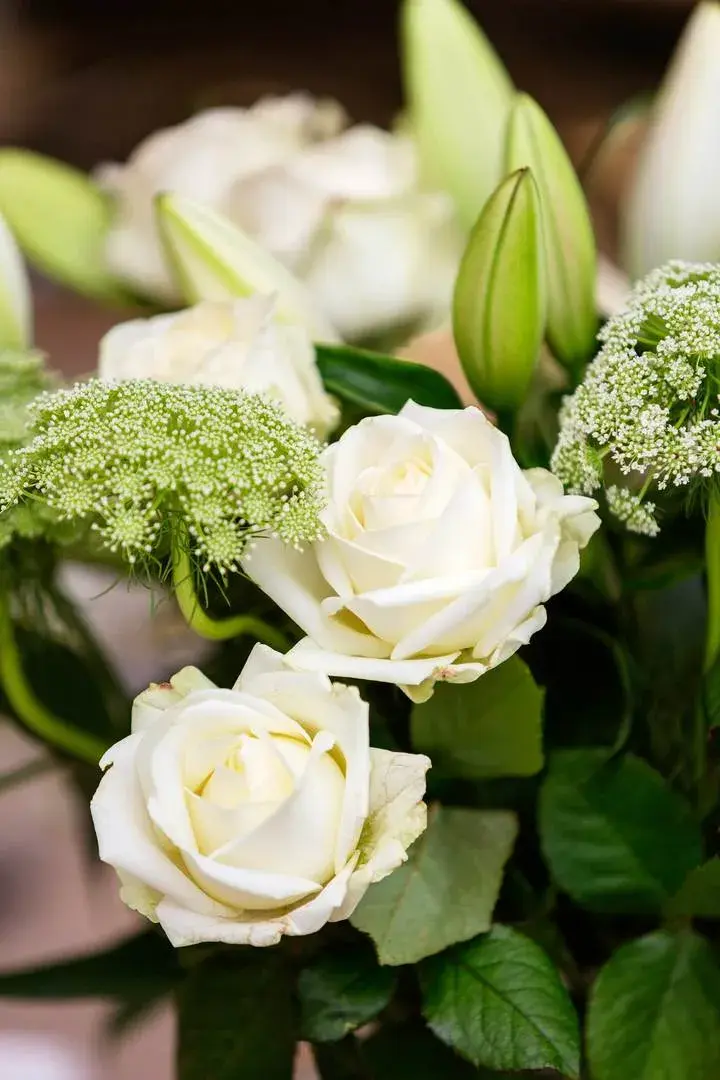 Fontenoy Road, holiday home in London